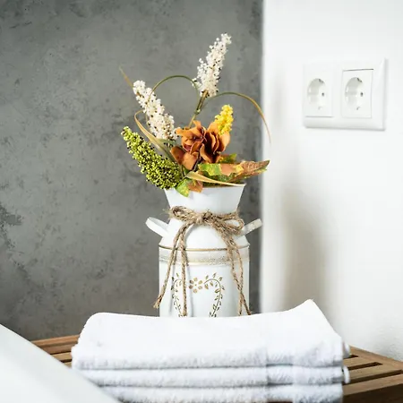 Oase Im Herzen Oberviechtachs Apartment